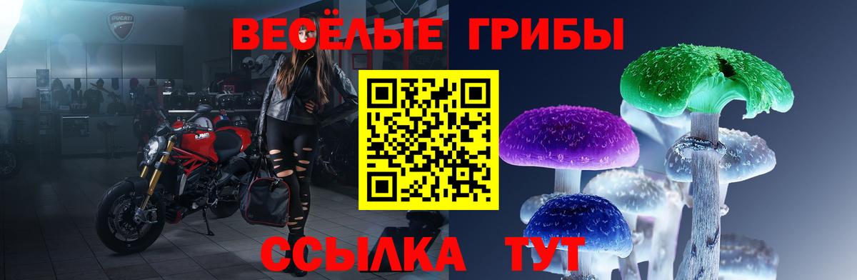 Псилоцибиновые грибы ЛСД  Псилоцибиновые грибы мухоморы  Вход с VPN  Бердск 
