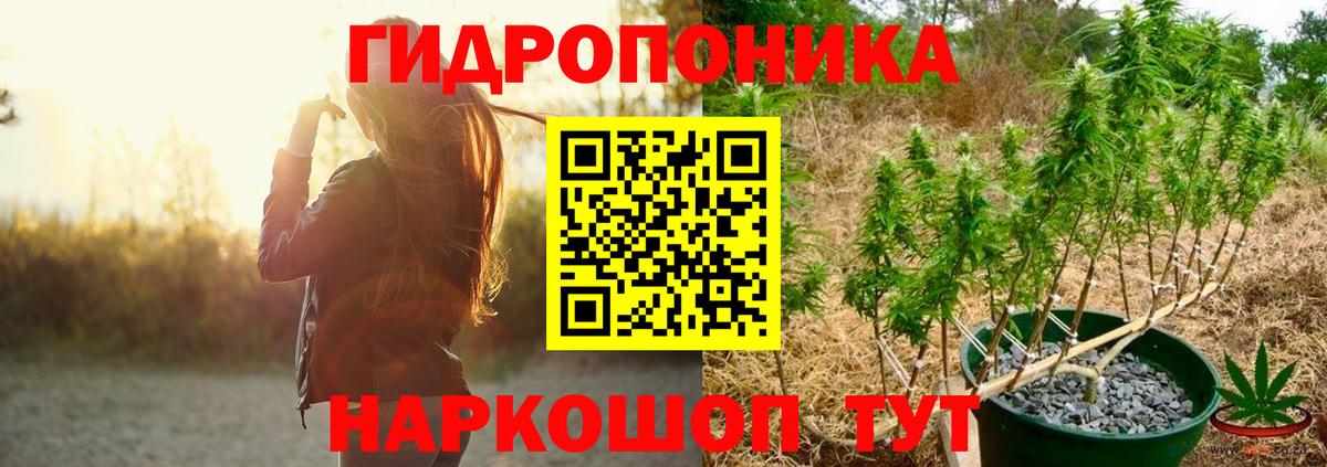 Бошки Шишки планчик Бердск