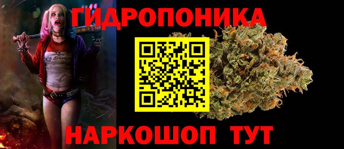 Бошки Шишки ГИДРОПОН  Шишки марихуана марихуана  Каннабис THC 21%  Конопля White Widow  Вход с VPN  Бердск 